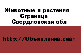  Животные и растения - Страница 33 . Свердловская обл.